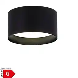 Netto Marken-Discount Näve LED Spot TRIOS Ø: 14cm schwarz Angebot