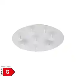 Netto Marken-Discount Näve LED Deckenleuchte FIRENZE Angebot
