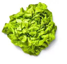 Kaufland Kopfsalat Angebot