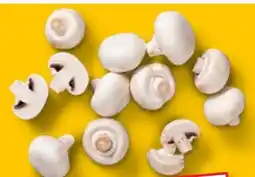 Kaufland Kulturchampignons Angebot