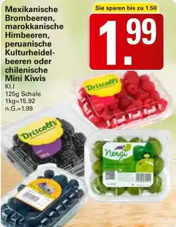 WEZ Mexikanische Brombeeren, marokkanische Himbeeren, peruanische Kulturheidel- beeren oder chilenische Mini Kiwis Angebot
