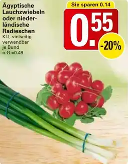 WEZ Ägyptische Lauchzwiebeln oder nieder ländische Radieschen Angebot