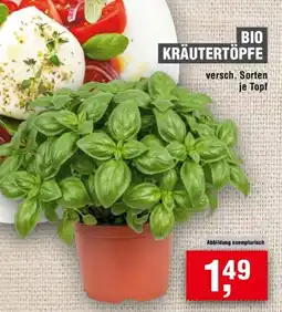 Handelshof BIO KRÄUTERTÖPFE Angebot