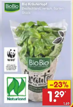 Netto Marken-Discount Biobio bio kräutertopf Angebot