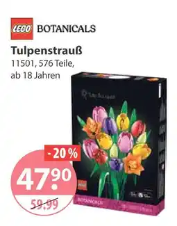 V Markt Lego botanicals tulpenstrauß Angebot