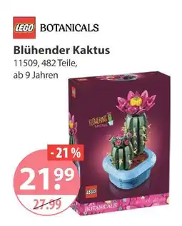 V Markt Lego blühender kaktus Angebot