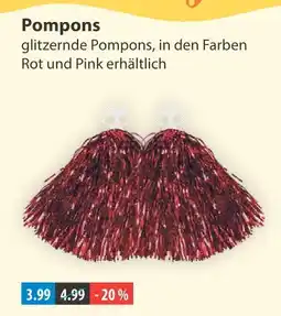 V Markt Pompons Angebot