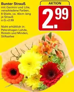 WEZ Bunter Strauß Angebot