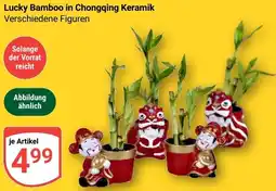 Globus Lucky Bamboo in Chongqing Keramik Angebot