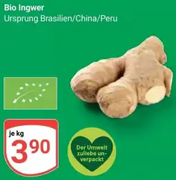 Globus Bio Ingwer Angebot