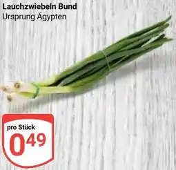 Globus Lauchzwiebeln Bund Angebot