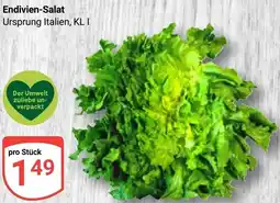 Globus Endivien-Salat Angebot