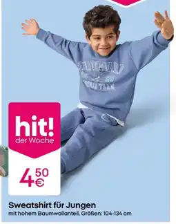 PEPCO Sweatshirt für Jungen Angebot