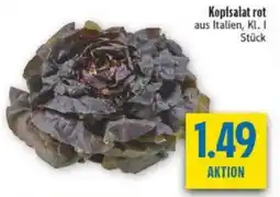 diska Kopfsalat rot Angebot