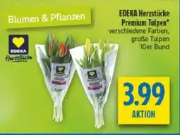 diska EDEKA Herzstücke Premium Tulpen Angebot