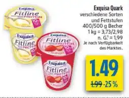 diska Exquisa Quark Angebot