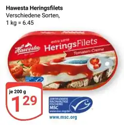 Globus Hawesta Heringsfilets Angebot
