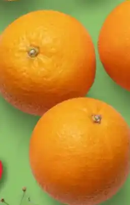 Kaufland Span. Orangen Angebot