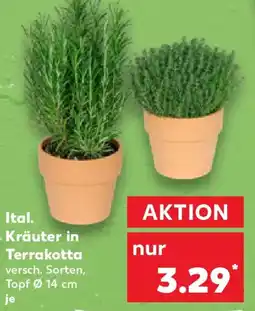 Kaufland Ital. Kräuter in Terrakotta Angebot