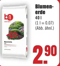 B1 Discount Baumarkt b1 Blumenerde Angebot