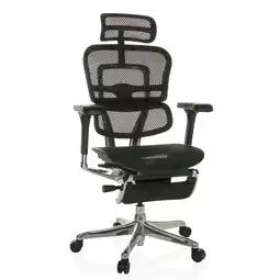 Netto Marken-Discount hjh OFFICE Luxus Chefsessel ERGOHUMAN PLUS LEGPRO GEN2 Netzstoff mit Armlehnen (höhenverstellbar) Angebot