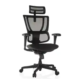 Netto Marken-Discount hjh OFFICE Luxus Chefsessel ERGOHUMAN SLIM ECO F GEN2 Netzstoff mit Armlehnen (höhenverstellbar) Angebot
