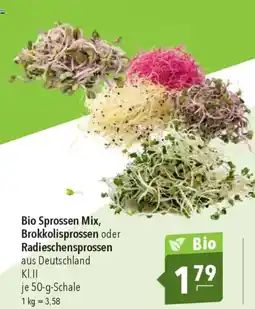 CITTI Markt Bio Sprossen Mix, Brokkolisprossen oder Radieschensprossen Angebot