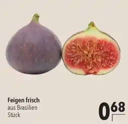 CITTI Markt Feigen frisch Angebot