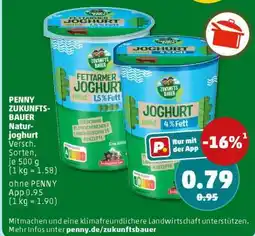 PENNY PENNY ZUKUNFTS-BAUER Naturjoghurt Angebot