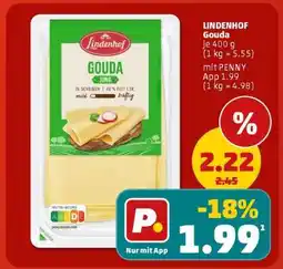 PENNY LINDENHOF Gouda Angebot