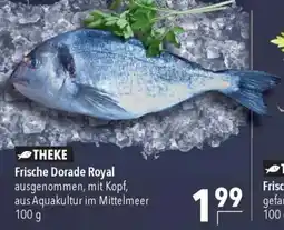 CITTI Markt Frische Dorade Royal Angebot