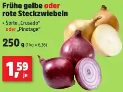 Thomas Philipps Frühe gelbe oder rote Steckzwiebeln Angebot