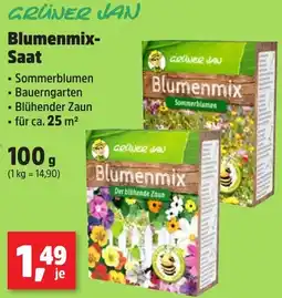 Thomas Philipps GRÜNER JAN Blumenmix Saat Angebot