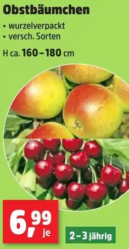 Thomas Philipps Obstbäumchen Angebot