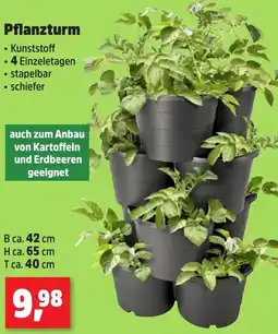 Thomas Philipps Pflanzturm Angebot