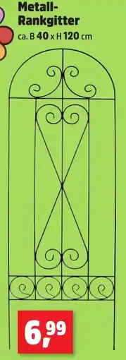 Thomas Philipps Metall Rankgitter Angebot