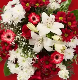 Lidl Strauß Besonderheit Angebot