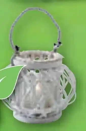 ROLLER Laterne Angebot