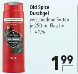 CITTI Markt Old Spice Duschgel Angebot