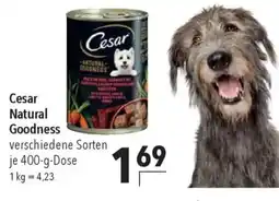 CITTI Markt Cesar Natural Goodness Angebot