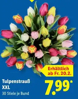 Lidl Tulpenstrauß XXL Angebot