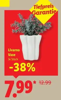Lidl Livarno Vase Angebot