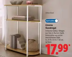 Lidl Livarno Standregal Angebot
