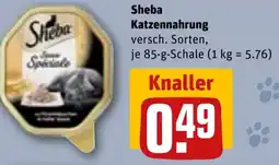 REWE Sheba Katzennahrung Angebot