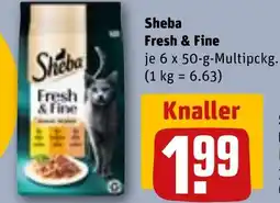 REWE Sheba Fresh & Fine Angebot