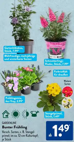 Aldi Süd GARDENLINE Bunter Frühling Angebot