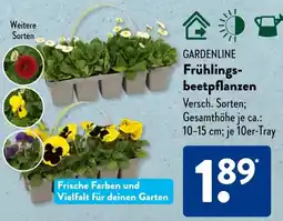 Aldi Süd GARDENLINE Frühlingsbeetpflanzen Angebot