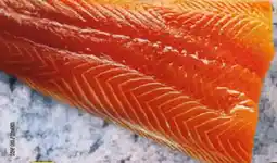 Netto Marken-Discount Lachsfilet Angebot