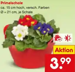 Netto Marken-Discount Primelschale Angebot