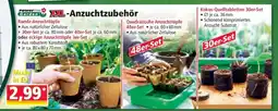 Norma XXL-Anzuchtzubehör Angebot
